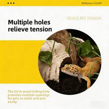 1个树脂爬行动物躲藏洞穴，多入口玻璃缸装饰，适用于壁虎、蜥蜴、蛇，有助于蜕皮 - 彩色 - 查看 10