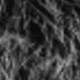 Black and White Jacquard
