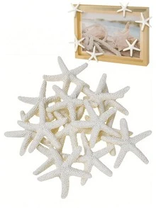 4/8/10pcs Natural Seashells, 5pcs Starfish, Mediterranean Specimen Decor, Ocean Theme Decoration, Wall Decor Series, Home Decor. All Products Are Naturally Formed, Without Artificial Processing. The Smell Is The Inherent Odor Of The Product, Which Is Unavoidable. Please Evaluate Objectively! Thank You! - Multicolor - View 9