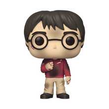 FUNKO POP 哈利·波特：哈利·波特周年纪念版 - 哈利与魔法石 - 礼物之选 - 官方周边 - 视频粉丝 - 收藏展示模型 - 彩色 - 查看 1