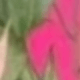桃紅