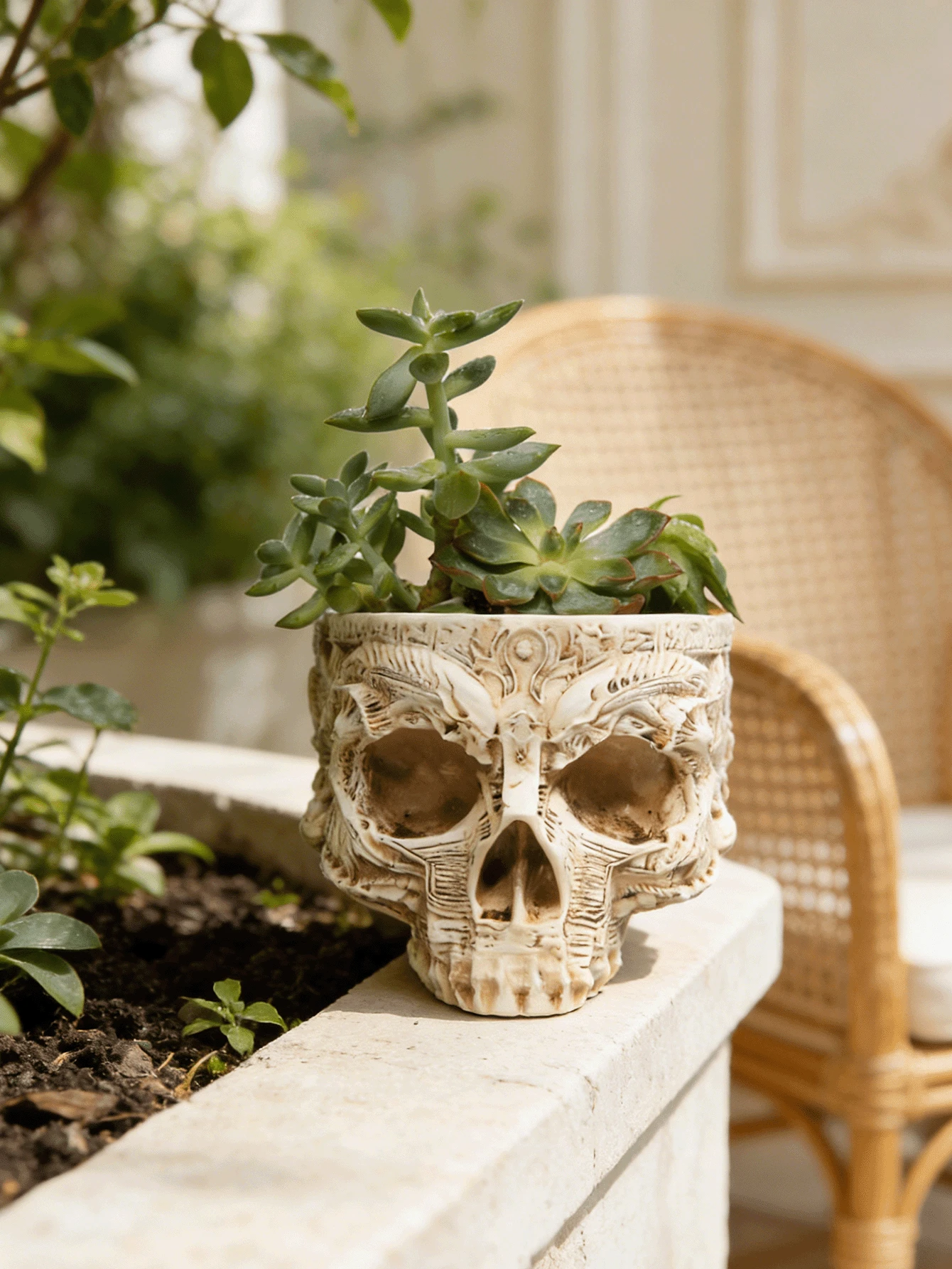 1pc Gothic Skull Flower Pot, Resin Skull Planter With Butterfly Decor, Suitable For Yard, Garden, Balcony, Home Party, Dining Table Decoration - Multicolor - View 1