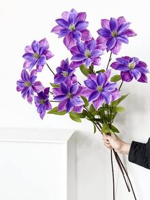 violet foncé