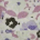 Multicolored Purple