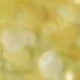 Yellow 1