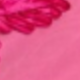 Bright Pink