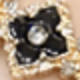 Black and Gold Flower
