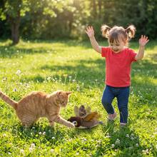 USB Rechargeable Electric Simulated Sparrow Cat Toy, Interactive Vibrating Rotating Wing With Realistic Bird Sounds, Feather Tail Cat Teaser Toy, Self-Entertainment & Hunting Interaction - Multicolor - View 2