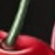 Negro-YH333