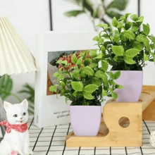 4/1 Piece Set Artificial Mini Potted Plants, Plastic Fake Potted Plants, Faux Greenery, White Planter Pots, Suitable For Home, Indoor, Office, Dining Table, Farmhouse, Garden And Bathroom Decor, Easy Maintenance - Olive Green - View 3