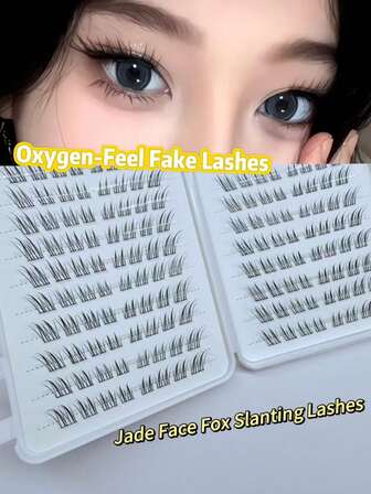 120/160/200 簇超大容量假睫毛册 | 柔软不刺激皮肤的假睫毛 | 日常派对百搭超上镜