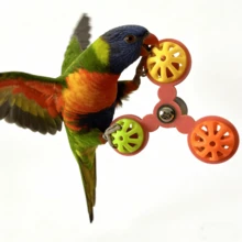 Bird Toys & Training - Blue - View 3