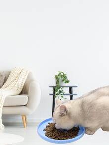 2个/5个装超大宠物碗/碟 - 多功能喂食饮水碗，经久耐用，狗碗/猫碗，宠物喂食托盘，多种颜色可选，宠物用品 - 500ml - 查看 2