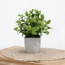 4/1 Piece Set Artificial Mini Potted Plants, Plastic Fake Potted Plants, Faux Greenery, White Planter Pots, Suitable For Home, Indoor, Office, Dining Table, Farmhouse, Garden And Bathroom Decor, Easy Maintenance - Olive Green - View 10