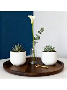 1个大号红木圆形托盘，现代农舍风格托盘，圆形种植托盘，种子托盘，木质植物托盘，适用于盆栽植物展示、摆放、种植，户外露台，户外花园装饰，户外及花园用品，春夏秋冬园艺，母亲节，生日礼物，情人节礼物