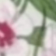 粉色
