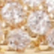 Gold 13919