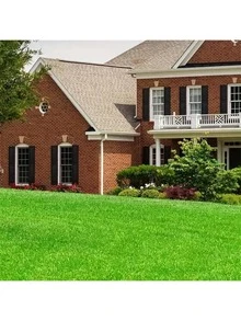 人造草坪，易于维护，高品质合成草坪，适用于室内/室外花园、游乐场装饰、宠物友好、阳台和庭院。 - 綠色 - 查看 7