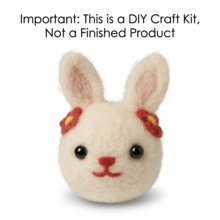 一套动物羊毛毡套装，适合初学者和成人，附带分步教程，包含猫头鹰/仓鼠/狗/猫/狐狸/兔子/西瓜等DIY羊毛毡作品，可爱有趣的家居装饰品，生日、情人节和圣诞节礼物 - 彩色 - 查看 21