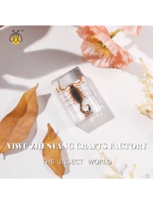 1 mẫu vật côn trùng và thực vật được bảo quản trong hộp nhựa màu hổ phách trong suốt! Mô hình côn trùng và thực vật thủ công vĩnh cửu, mẫu vật côn trùng bằng nhựa tự nhiên, chặn giấy, mô hình côn trùng và động vật hình vuông trong suốt màu hổ phách, đồ trang trí thủ công, đồ sưu tầm có giá trị cao. - Nhiều màu - Xem 11