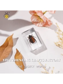 1 mẫu vật côn trùng và thực vật được bảo quản trong hộp nhựa màu hổ phách trong suốt! Mô hình côn trùng và thực vật thủ công vĩnh cửu, mẫu vật côn trùng bằng nhựa tự nhiên, chặn giấy, mô hình côn trùng và động vật hình vuông trong suốt màu hổ phách, đồ trang trí thủ công, đồ sưu tầm có giá trị cao. - Nhiều màu - Xem 8