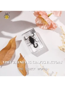 1 mẫu vật côn trùng và thực vật được bảo quản trong hộp nhựa màu hổ phách trong suốt! Mô hình côn trùng và thực vật thủ công vĩnh cửu, mẫu vật côn trùng bằng nhựa tự nhiên, chặn giấy, mô hình côn trùng và động vật hình vuông trong suốt màu hổ phách, đồ trang trí thủ công, đồ sưu tầm có giá trị cao. - Nhiều màu - Xem 12