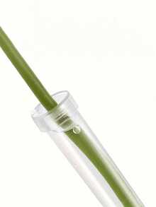 10/1pc Transparent Leak-Proof Flower Preservation Tubes With Sealing Caps, Mother'S Day Flower Preservators, Spring/Summer Flower Arrangement Tools, Graduation Party Decorations, Home Decor, Wedding Center Ornaments, Preserved Flower Vase Decorations, Home Decor - Multicolor - View 10
