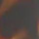 豹紋