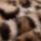 Camel-colored Leopard Print