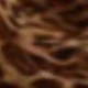 Brown Leopard Print