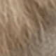 Màu be