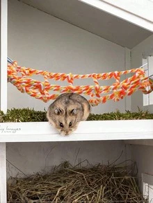 1pc Pet Climbing Rope Net Hammock - Suitable For Hamster/Mouse/Parrot/Glider Habitat Decor And Toy, Valentine's Day Gift - Multicolor - View 8