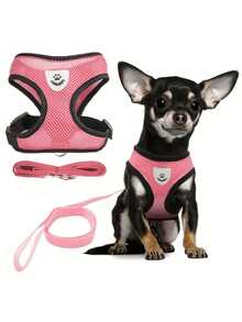 Pet Cat Dog Leash Set With Escape-Proof Adjustable Harness & Collar, Reflective Safety Strap, Soft Breathable Mesh Material - Green - View 1