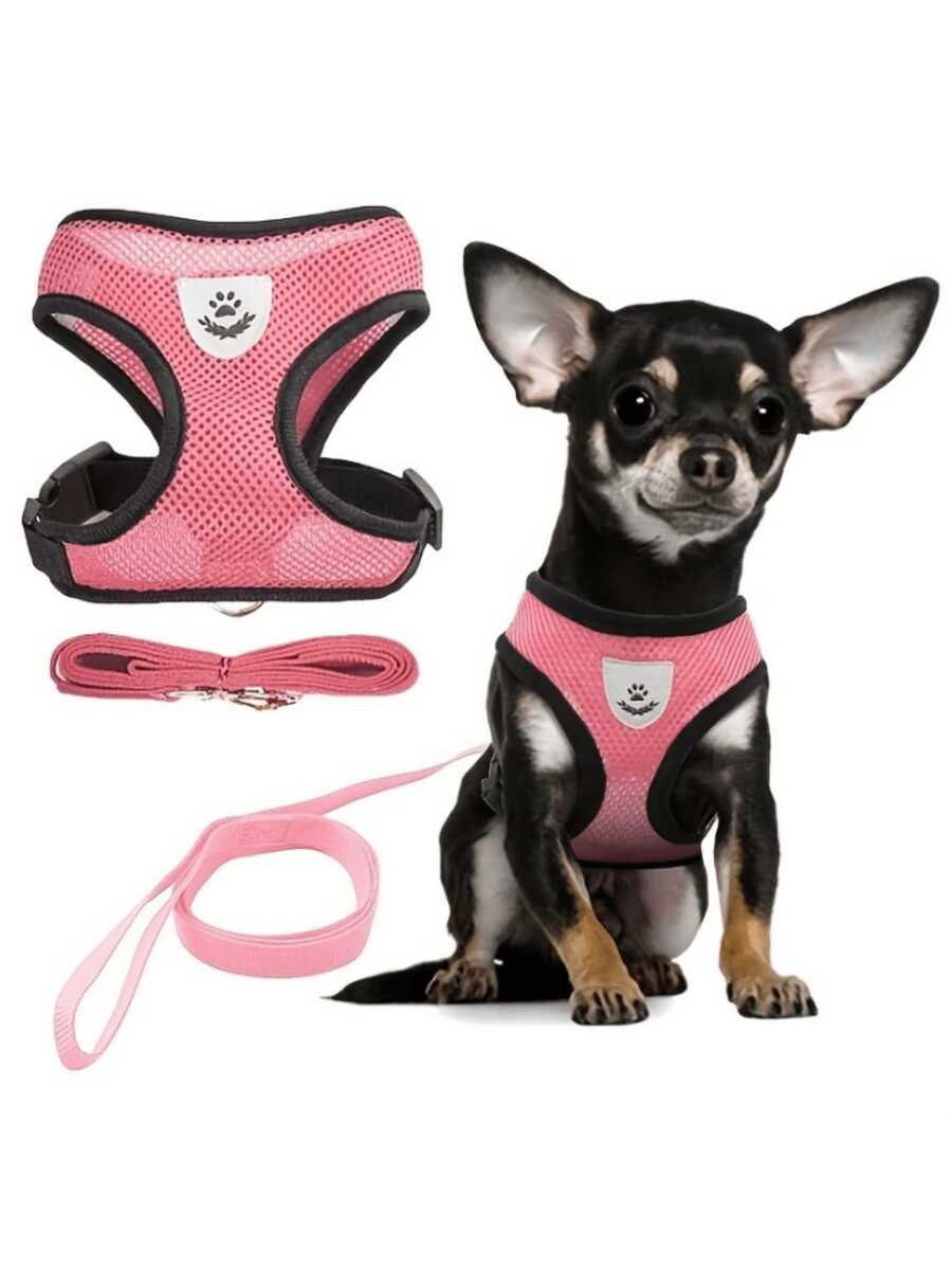 Pet Cat Dog Leash Set With Escape-Proof Adjustable Harness & Collar, Reflective Safety Strap, Soft Breathable Mesh Material - Green - View 1