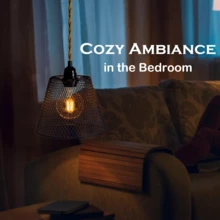 Chụp đèn cổ điển có thể gập lại, chỉ bán riêng chụp đèn, dễ dàng vệ sinh và cất giữ, thích hợp cho đèn treo, đèn bàn, đèn ngủ, là chụp đèn trang trí hoàn hảo. - màu đen - Xem 6