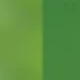 綠色