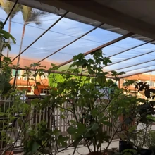 One Transparent Rainproof And Windproof Tarpaulin With A Sealing Ring, Suitable For Outdoor Gardens, Sunshades, Plants, Camping, Etc.