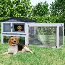 One Transparent Rainproof And Windproof Tarpaulin With A Sealing Ring, Suitable For Outdoor Gardens, Sunshades, Plants, Camping, Etc.