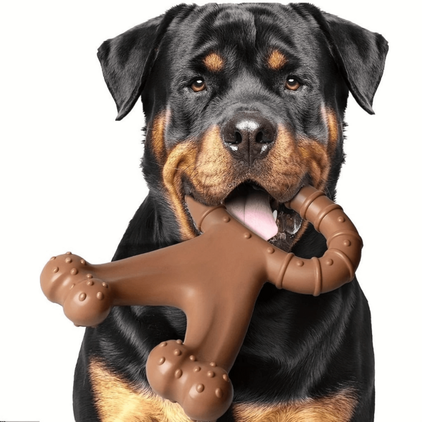 Brinquedo de Mastigar para Cachorro - Limpeza Dental, Moagem Natural e Treinamento Inteligente
