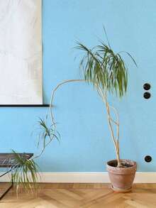 1卷丝滑质感自粘可移除可重复使用压纹乙烯基墙纸贴纸，适用于厨房橱柜、客厅、浴室、卧室、家具装饰、防溅墙，尺寸为15.7英寸 x 118英寸 - 彩色 - 查看 8