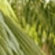 Nhiều màu
