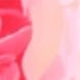 粉色
