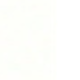 白色2