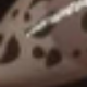 彩色