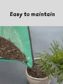 1 个可重复使用的绿色植物栽培盆 - 适用于室内植物和绿植种植 - 也适用于阳台植物栽培、土壤更换 - 舒适的盆栽装饰设计 - 包含植物养护用品、浇水工具、园艺维护工具、植物栽培垫、可折叠便携加厚防水园艺垫，适用于室内多肉植物种植、植物移植和盆栽工具 - 彩色 - 查看 7