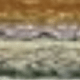 Marrón Verde2
