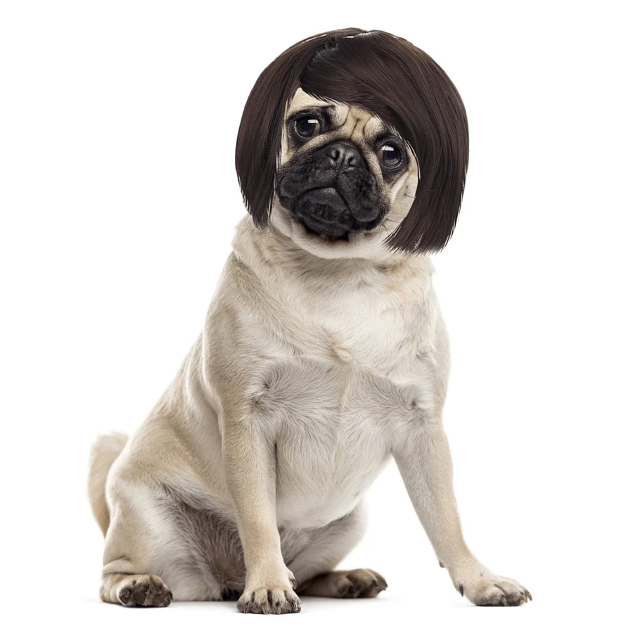 Funny Dog Cat Cosplay Wig, Pet Wig-Adjustable Costume Pet Funny Headwear Costumes Headgear For Small Medium Large Dog Cat Wigs Dress Up Decorations For Halloween, Christmas, Parties, Festivals Wigs Cosplay Mardi Gras - 12英吋 - 查看 1