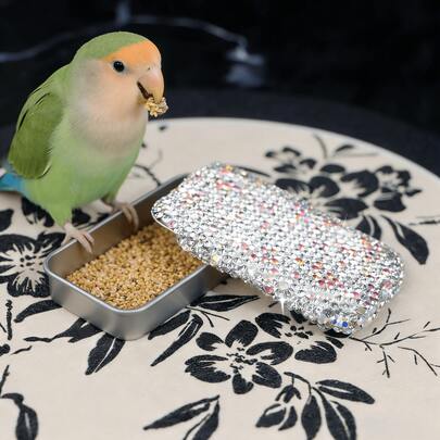 1pc/2pcs Bird Training Food Container, Parrot Hand-Held Push-Pull Feeder, Bird Interactive Educational Feeding Toy, Small Rectangular Metal Tin With Sliding Lid, Portable Storage Container For Small Items