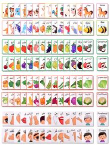 Bilingual Flashcards For Animals/Fruits/Vegetables/Body Parts, Arabic Vocabulary Learning Cards, English Animal Vocabulary Cards, Fruit & Vegetable Recognition Cards, School Learning Aids, Arabic-English Body Part Learning Cards, Suitable As Back-To-School Gifts, Early Learning Gifts - Color - View 3