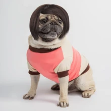 Funny Dog Cat Cosplay Wig, Pet Wig-Adjustable Costume Pet Funny Headwear Costumes Headgear For Small Medium Large Dog Cat Wigs Dress Up Decorations For Halloween, Christmas, Parties, Festivals Wigs Cosplay Mardi Gras - 12英吋 - 查看 3
